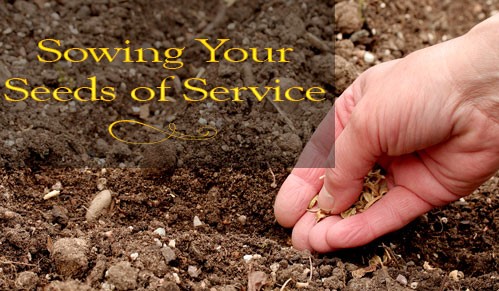 sowing-your-seeds-of-servic